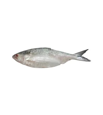 Buy hilsha-fish-400gm-plus-70012 Online