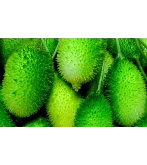 Picture of Kakrol (কাঁকরোল) 1kg