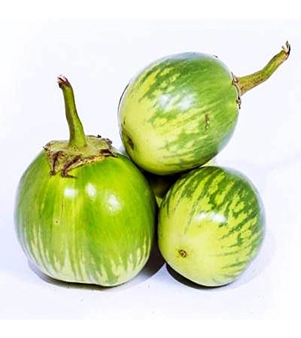 Buy vegetable-begun-round-green Online