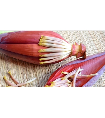 Buy vegetable-kola-mocha-per-pc Online