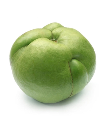 Picture of Chalta (চালতা) Deshi