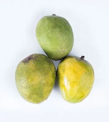 Picture of Garden Fresh Gopalbhog Mango