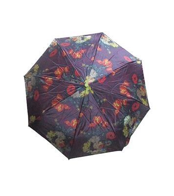 Buy Auto on-off Atlas Umbrella Green Online