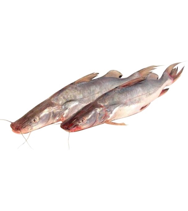 Buy Aair Normal (আইর) Fish Online at Best Price