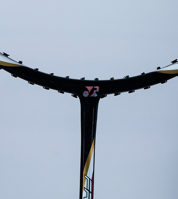 Picture of YOUNG PLUS 700 Badminton Racket