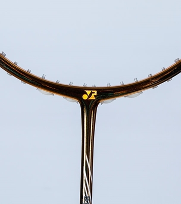 Picture of YOUNG PLUS 8008 Badminton Racket