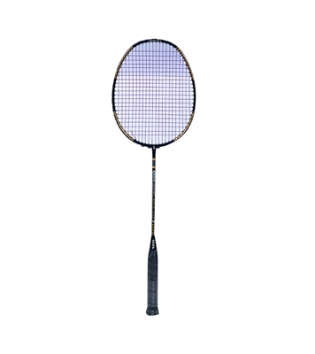 Picture of Gosen Badminton Racket AST00028