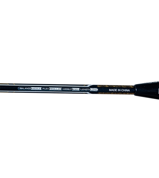 Picture of Gosen Badminton Racket AST00028