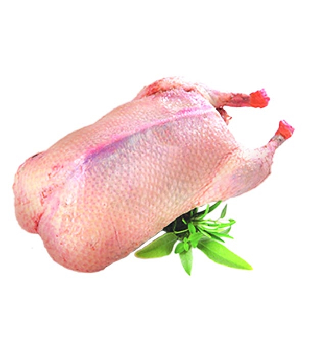 Buy Duck Per Piece 1kg+ Online