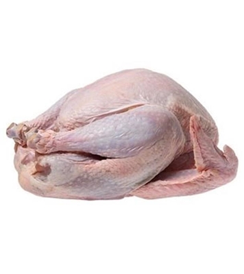 Buy Turkey 4kg+ Per Pcs Online