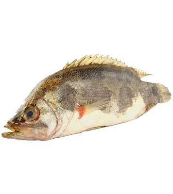 Buy Meni fish 1kg Online