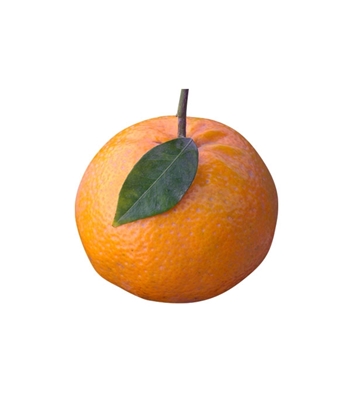 Buy Kenu Orange 1kg Online at Best Price