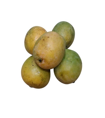 Buy Kumapahari Mango 1Kg Online