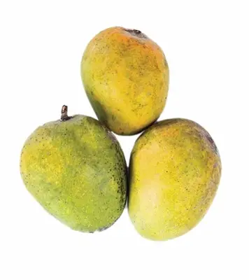 Buy DS Garden Fresh Gobindobhog Mango 1 kg Online