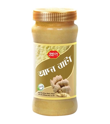 Buy PRAN Garlic Paste (আদা বাটা ) 250gm Online at Best Price
