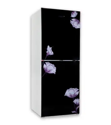 Buy Vision VSN GD Refrigerator RE-252L Mirror Purple FL-BM Online