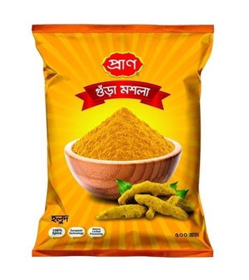 Buy PRAN Turmeric Powder Online