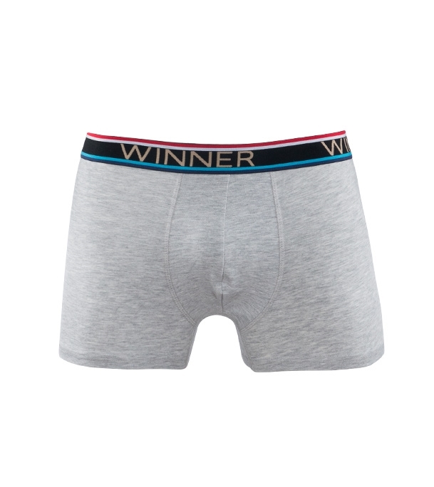 Buy Luxury Boxer W0002 Gray Mélange Online