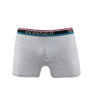 Buy Luxury Boxer W0002 Gray Mélange Online