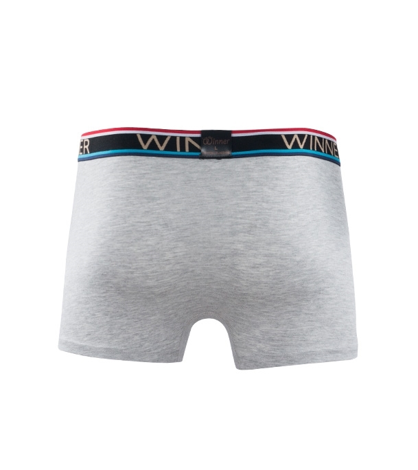 Buy Luxury Boxer W0002 Gray Mélange Online