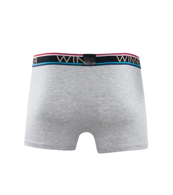 Buy Luxury Boxer W0002 Gray Mélange Online