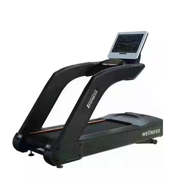 Buy Commercial Treadmill Sports TM-8600 Online