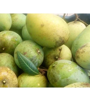 Buy Garden Fresh Harivanga 15 kg Online