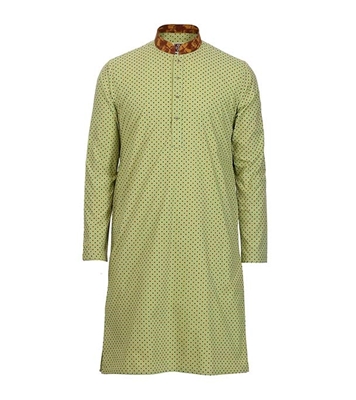 Buy Men's Stylish Cotton Panjabi Parrot Online
