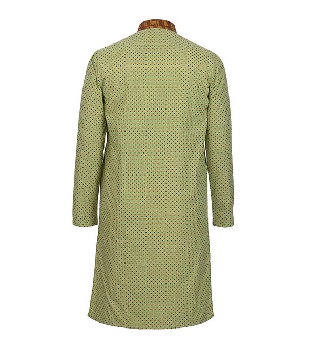 Buy Men's Stylish Cotton Panjabi Parrot Online