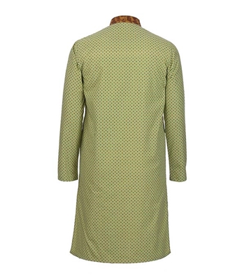 Buy Men's Stylish Cotton Panjabi Parrot Online