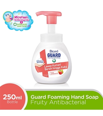Buy Biore Guard Foaming Handsoap Bottle  Fruity Antibacterial 250 ml Online