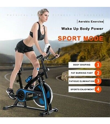 Buy Spinning Bike Wellness Fitness CF-1317 Online