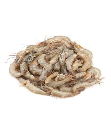 Buy Horina Prawn Online 