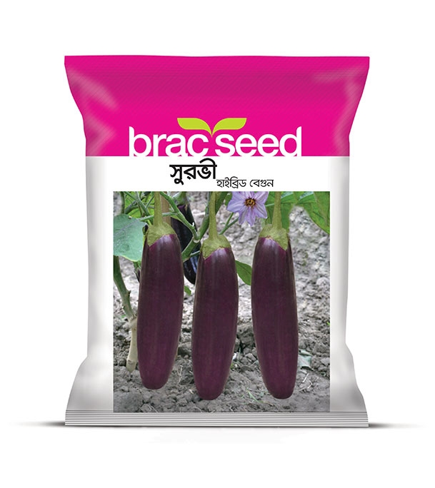 Buy Brinjal Surovi 5gm Hybrid Online