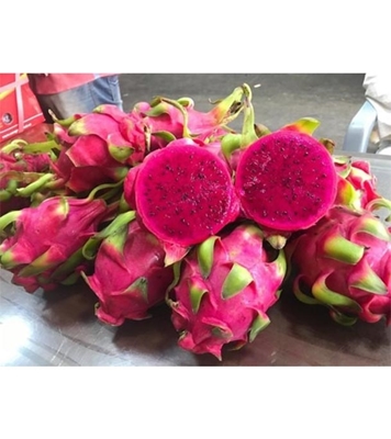 Buy Dragon Fruit Seed 35 pcs Online