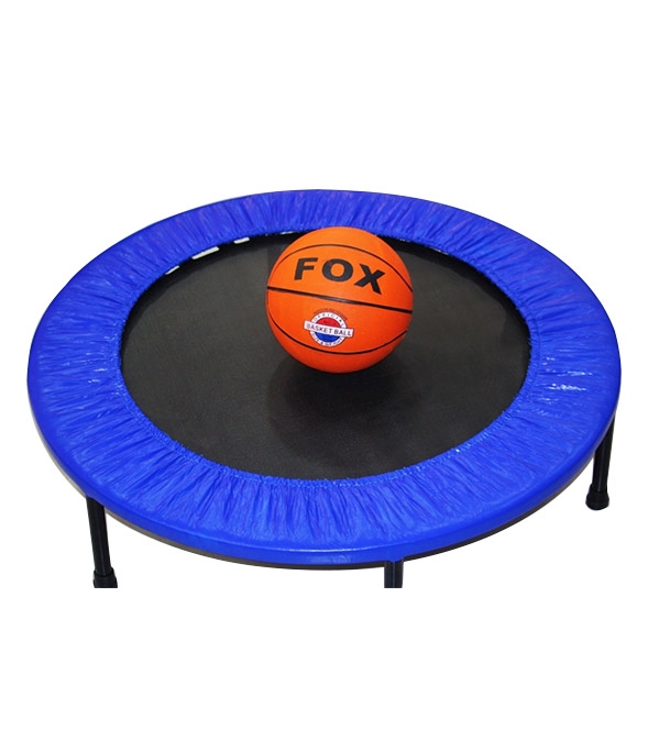 Buy FOX Indoor Outdoor Basketball Online at Best Price