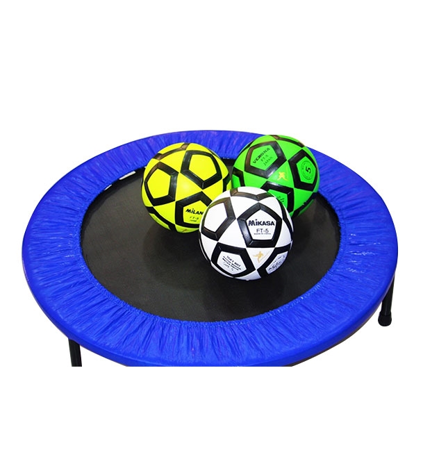 Buy Mikasa Football Online at Best Price