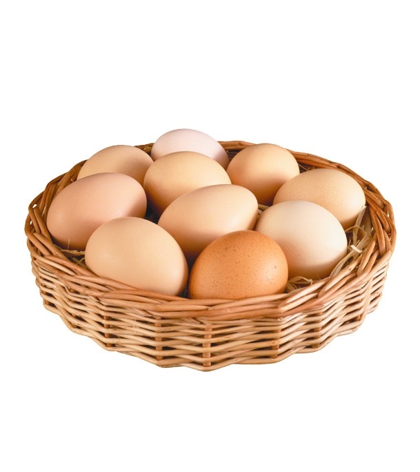 Buy Farm Egg 30pcs Combo Online