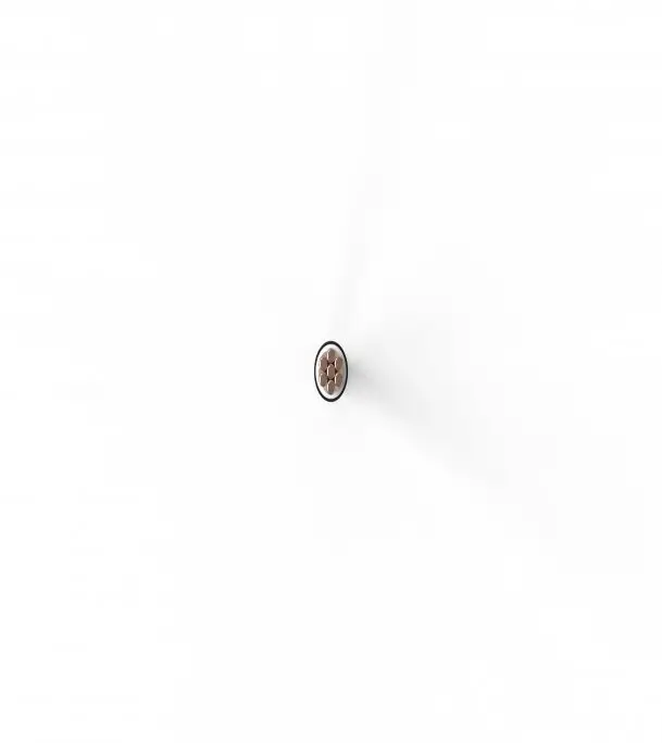 Buy Bizli Cable BYA-FR (16 rm) Black Online at Best Price