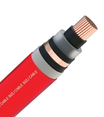 Buy Bizli Cables 2xSEYFGY(3x50 rm) 11 KV Red Online