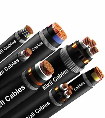 Buy Bizli Cables NYFGbY (2x2.5rm) Black Online