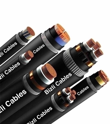 Buy Bizli Cables 2xY (4X6 rm) Black Online
