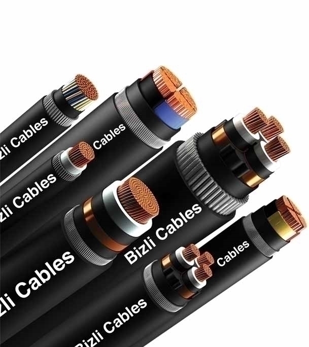 Picture of Bizli LT Cables NYY-1 (5x25 rm) Black