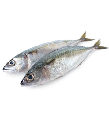 Buy Mackerel Fish 1kg Online	