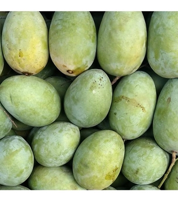 Buy Garden Fresh Langra Mango 5 kg Online