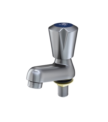 Picture of Long Pillar Cock Prominent