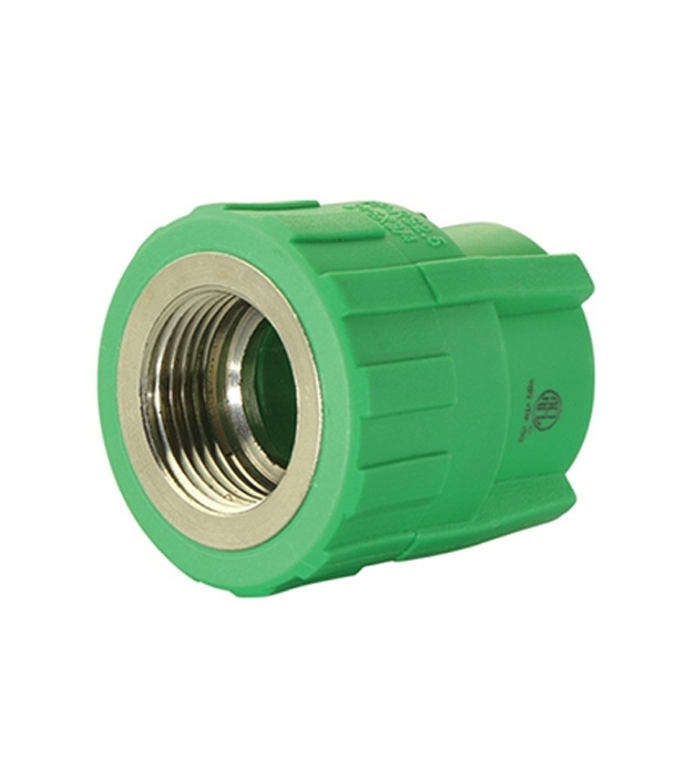 Buy RFL PP-R Female Thread Socket/Coupling Online