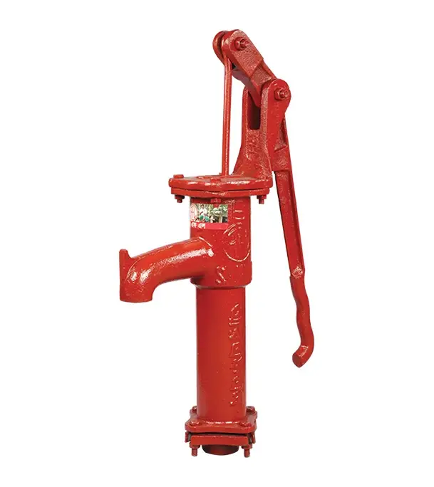 Buy RFL Samrat Tubewell Online