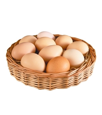 Buy Farm Egg 25 pcs Online