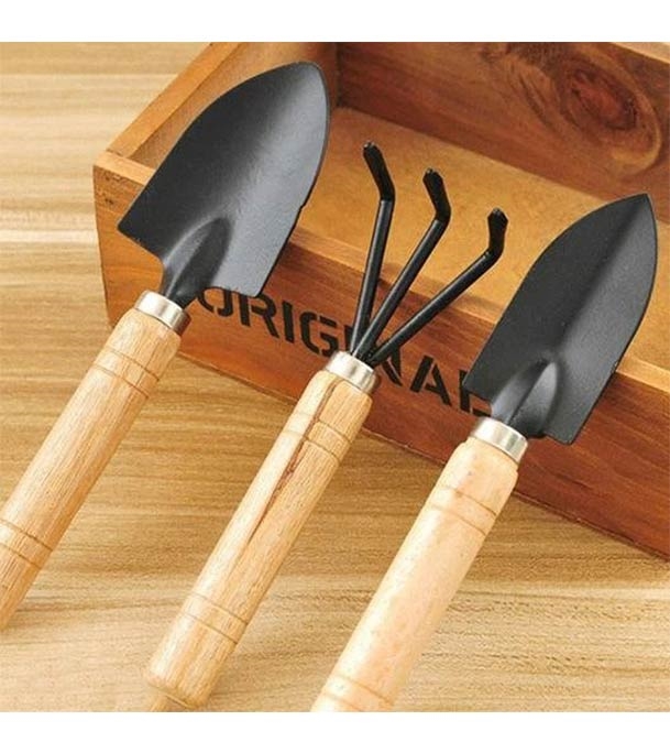 Buy 3pcs Set Mini Gardening Tools (10inch) Online at Best Price